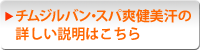 チムジルバン・スパ爽健美汗の詳しい説明はこちら